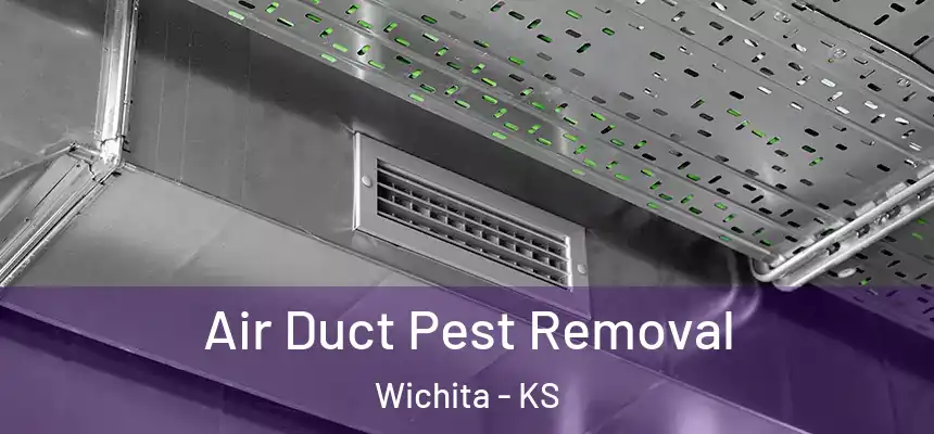  Air Duct Pest Removal Wichita - KS