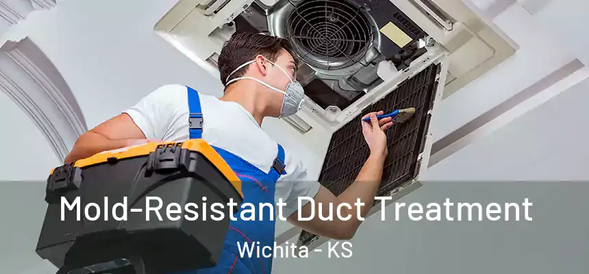  Mold-Resistant Duct Treatment Wichita - KS