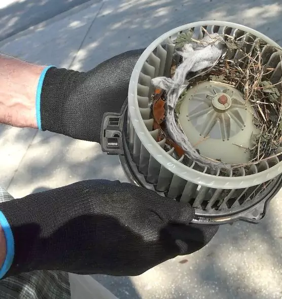 About Air Duct Mice Removal in Wichita, KS