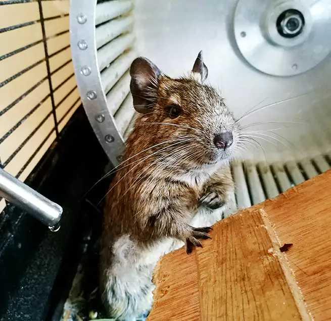 Why Homeowners & Businesses Trust Us Wichita, KS?